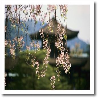 3dRose ht_59766_2 Japán cseresznyevirág Idő Vas a hőátadás, 6, 6, a Fehér Anyag