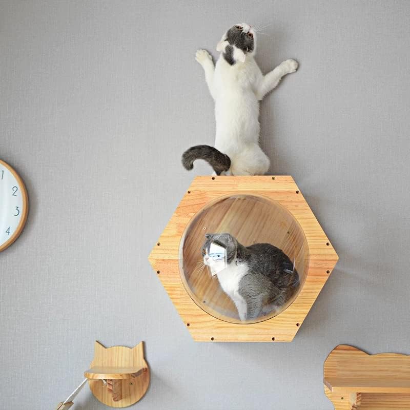 WALNUTA Hatszögletű Macska Macska Ugrott Platform Kisállat játék Cattery Pet Mászni Keretek macska Fal fészek (Szín : Egy, Méret : Egy