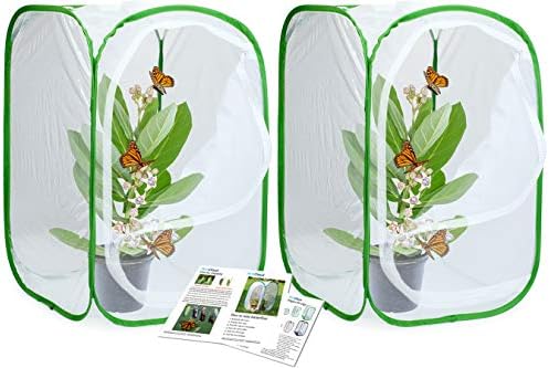 RESTCLOUD 24 Rovar Pillangó Élőhely Monarch Butterfly Burkolat a Hernyók felugró 24 Cm Magas Csomag 2