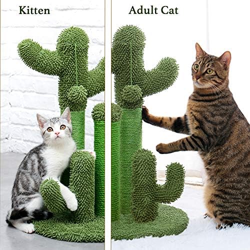 Zöld Kaktusz macskakarmolás Post 3 macskakarmolás Hozzászólás, 1 Csepp Golyó, Macska Interaktív Játék a Kis Macskák (M)