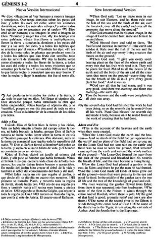 Személyre szabott Biblia Egyéni Szöveget A Nevét NIV/RVR-1960: a biblia Bilingue Dos Tonos, Marron Egyedi Ajándék Keresztelők,