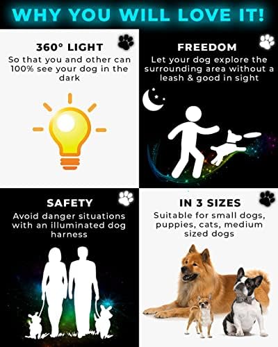 Teljes Felület 360° - Os Világító LED Kutya Hám a Pórázt | Kifejlesztett Kis Kutyák & Kiskutyák | Elérhető a 3-as Méretben: S / M / L
