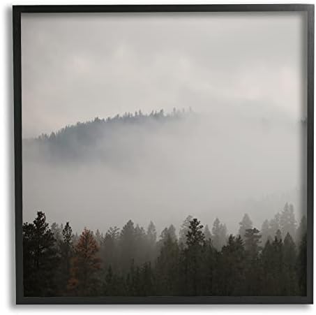 Stupell Iparágak Misty Mountain Időjárás Sötét Erdő, Fa Tetejét Keretes Wall Art, Design by Carol Robinson