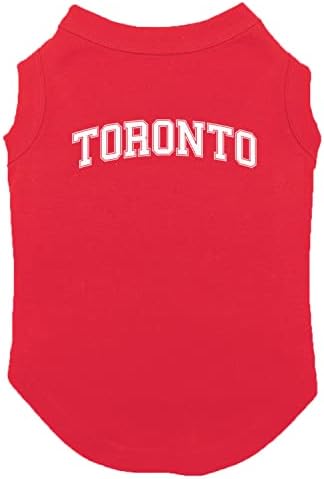 Toronto - Állami Egyetem Sport Kutya Póló (Fekete, Kicsi)
