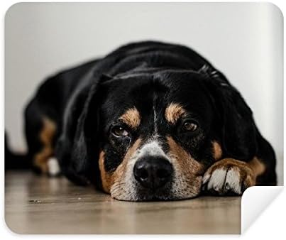 Kutya kedvtelésből tartott Állat Fénykép Emelet Kép tisztítókendővel Képernyő Tisztító 2db Velúr Szövet