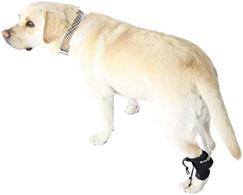 Ortocanis - Proprioceptív Korrektor a Kutyák számára, Ülőideg Sérülések, Gerincbántalmak, illetve Gerincvelő-Sérülések, L Méretben