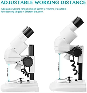 ZLXDP 2 0X / 40x Sztereó Mikroszkóp 45 ° Tiltted Szemlencse a Szemkagyló Felső LED Vision PCB Saler Mobil Eszköz Javítása