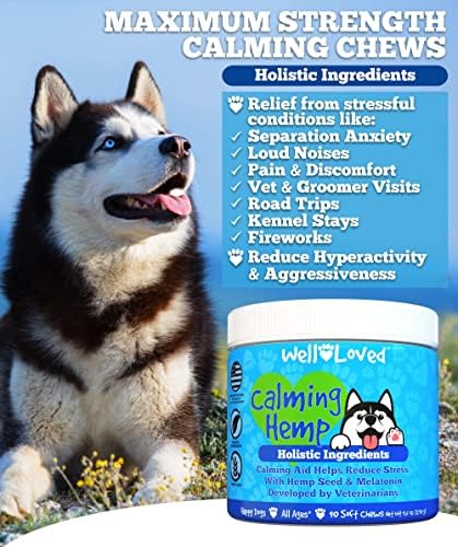 Hát Szerette Nyugtató Rág a Kutya + a Glükózamin Kutyák számára Csípő, illetve a Közös Kiegészítése, Állatorvos Fejlett, Az