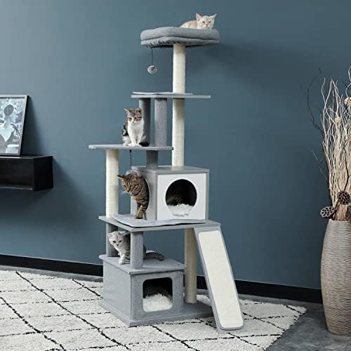 Macska Fa Több Emelet Nagy Macskák Játszanak A Torony Bútor Tevékenység Központ