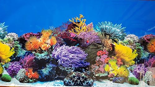 Karen Alacsony Új!! 23 Inch Magasság Akvárium Háttér Korall, illetve Édesvízi Növények Dzsungel Dekoráció (60(L) x 23(H))