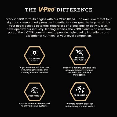 Victor Super Premium kutyaeledel – Hi-Pro Plus Száraz kutyaeledel – 30% Fehérje, a Glutén Mentes - a Magas Energia -, illetve
