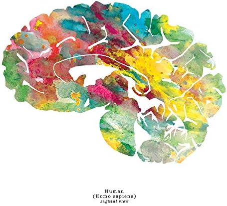 A Modern Pszichológia Wall Art - Az Emberi Agy Anatómiai - Inspiráló Mentális Egészség Ajándék + orvostanhallgató Ajándék - Neuroscience