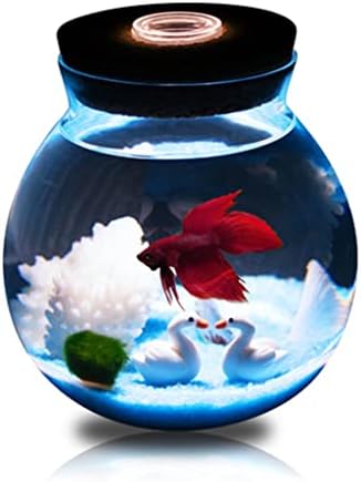 n/1db Mini Betta akvárium, Akvárium Dísz Növények Dekoráció Háttér Pet Táj Ökológiai Üveg (Szín : az ábrán Látható, Méret : Egy Méret)