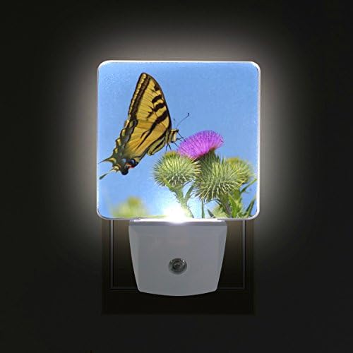 Naanle Készlet 2 Fecskefarkú Pillangó A Bogáncs Virága Lila Pitypang, a Kék Eget, Tavasz, Virágos Design Automatikus Érzékelő LED Alkonyat