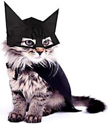 Pet Halloween Jelmez, Vicces Macska Fejfedő Fél Cosplay Bat Kiegészítők Macska Kiscica Kiskutya Ruházat