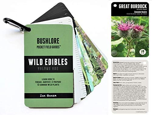 Bushlore Vadon élő Ehető Növényeket Kártyák - 19 Zsebében Field Guide Sürgősségi Túlélő Készlet Katasztrófa, Camping Felkészültség