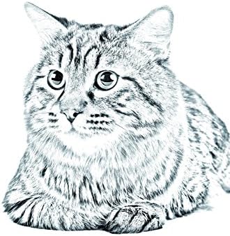 Művészeti Kutya Kft. Kurilian Bobtail, Ovális alakú Sírkő a Kerámia egy Kép egy macska