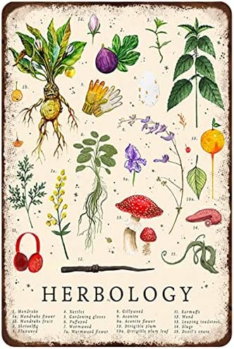 Rusztikus Retro Fém Adóazonosító Jel Herbology Poszter Növény Mágia lakberendezés Wall Art Vintage Retro Fém Adóazonosító Jel Konyha
