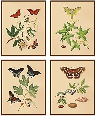 heshengzaixian Vintage Pillangó Botanikus Wall Art Vászon Nyomtatás, Növény Pillangó Dekoráció Posztert, Festményt Home Office Iskola,