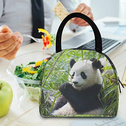 YYZZH Cuki Panda Medve Állat Eszik Bambusz Dzsungel Erdő, Erdő, Szigetelt Cipzár Ebéd Táska Hűtőtáska Étel elkészítése Kézitáska uzsonnás