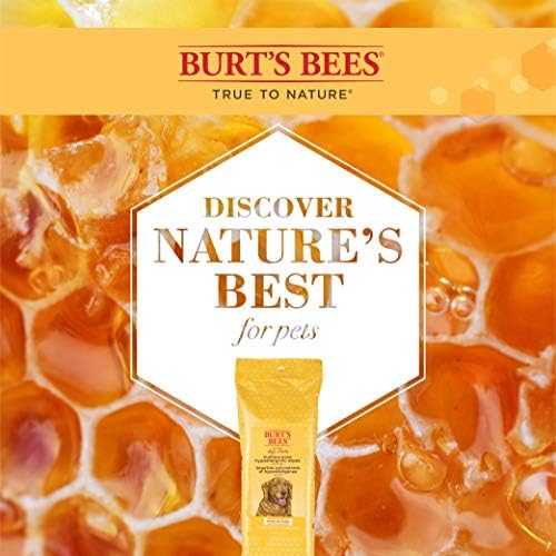 Burt ' s Bees a Kutyák Természetes Többcélú Kutya Ápolás Törlőkendő | Puppy & Kutya Törlőkendő Minden Célra Tisztítás | pH Kiegyensúlyozott