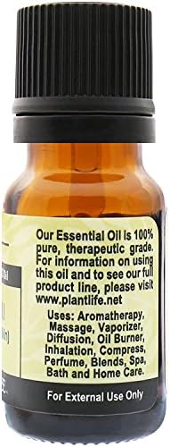 Plantlife Pacsuli Aromaterápiás illóolaj - Egyenesen A Növény Tiszta Terápiás Minőségű - Nem Adalékanyagok vagy Töltőanyagok - 10 ml