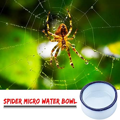 36 Db Pók Micro Víz, Tál Mini Kerámia Edény a Tarantula Pók Lilike Apró Hüllő, Rovar (0.86 D 0.43 H)