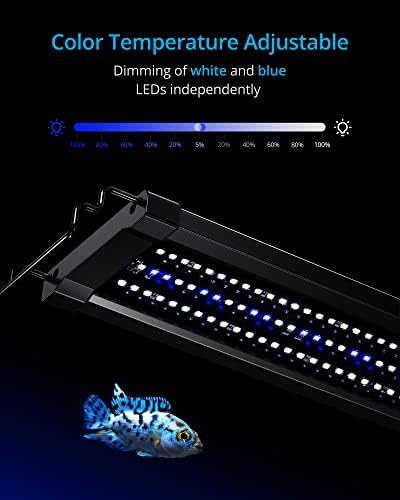 NICREW ClassicLED Gen 2 Akvárium Fény, Szabályozható LED akvárium Fény 2-Csatornás Vezérlő, Fehér, Kék Led, Nagy teljesítményű,