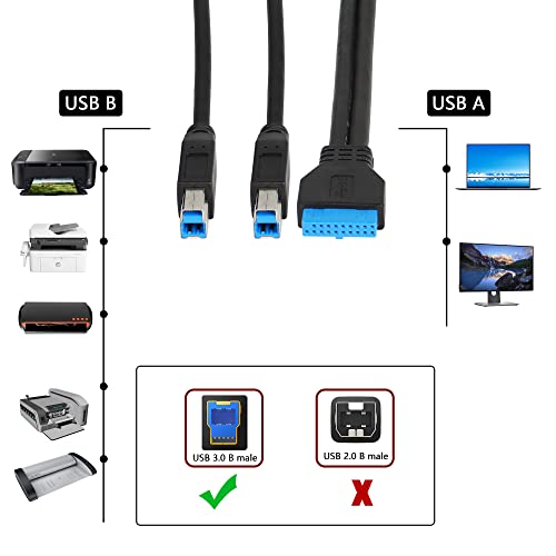 CERRXIAN 0.5 m USB-20PIN, hogy Dual USB-B 3.0 Kábel,20PIN Női 2X USB 3.0 B Férfi Kompatibilis Nyomtatók,Külső Merevlemez-Meghajtók,Scanner,USB-Hub,