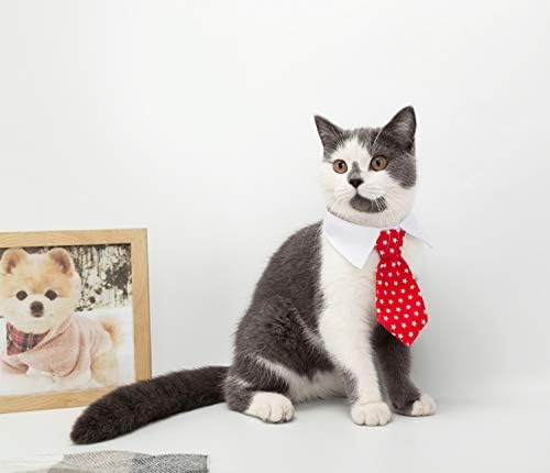 ZTON Pet Csokornyakkendő, Kézműves Állítható Hivatalos Gallér, Nyakkendő a Kutya, Macska (S, Piros Pontok)