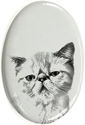 Művészeti Kutya Kft. Egzotikus Gyorsírás, Ovális alakú Sírkő a Kerámia egy Kép egy macska