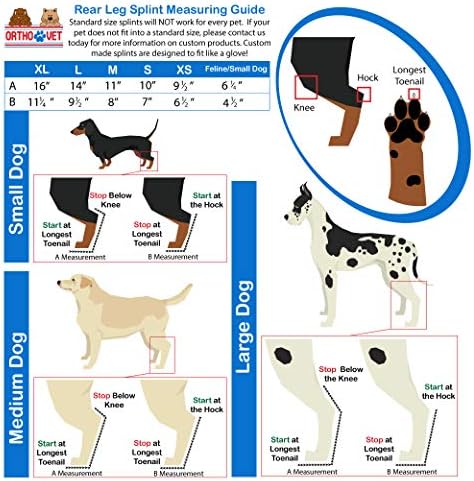 OrthoVet Standard Hátsó Sínt Kutyák Ízületi gyulladás vagy Sérülések (XS)